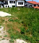 Парцел в Благоевград, Банско