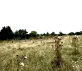 Снимка 4 — Парцел в Благоевград, Банско