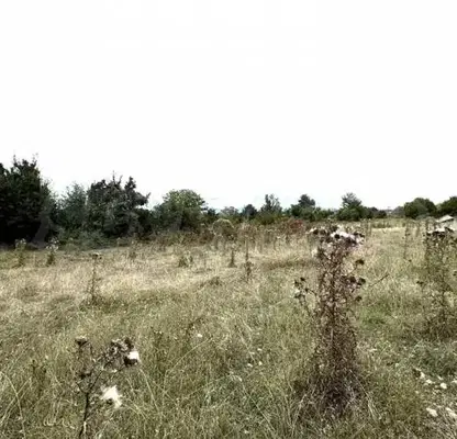 Снимка 4 — Парцел в Благоевград, Банско