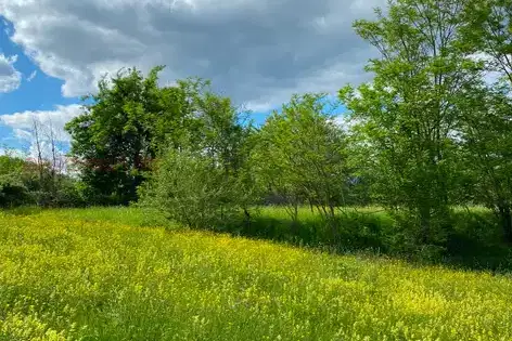 Парцел в Благоевград, Белица