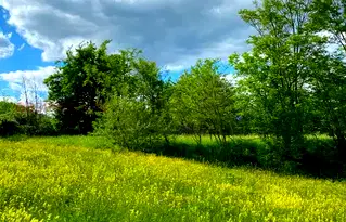 Парцел в Благоевград, Белица