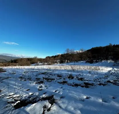 Photo 2 — Plot in Oblast Blagoevgrad, Dobrinishte