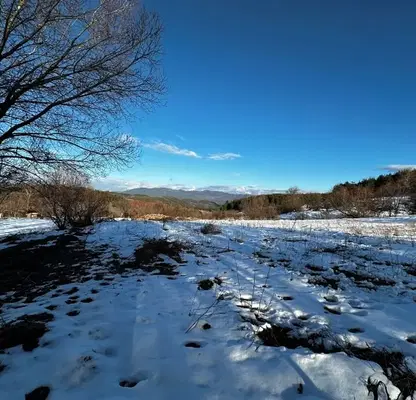 Photo 3 — Plot in Oblast Blagoevgrad, Dobrinishte