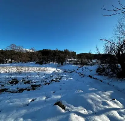 Photo 4 — Plot in Oblast Blagoevgrad, Dobrinishte