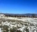 Снимка 2 — Парцел в Благоевград, Гоце Делчев