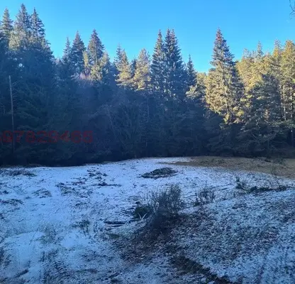 Photo 4 — Plot in Oblast Blagoevgrad, Goce Delchev