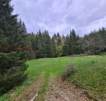 Photo 5 — Plot in Oblast Blagoevgrad, Goce Delchev