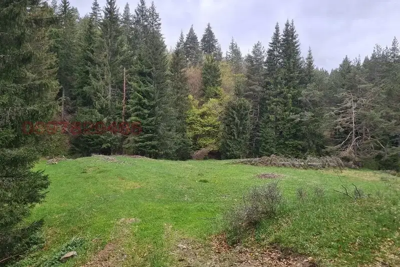 Парцел в Благоевград, Гоце Делчев