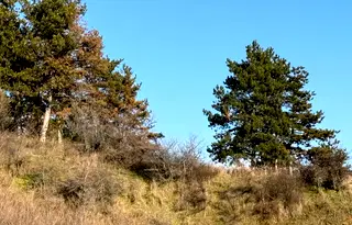 Парцел в Благоевград, Гоце Делчев