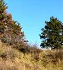 Парцел в Благоевград, Гоце Делчев