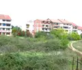 Снимка 2 — Парцел в Благоевград, Петрич