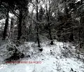 Снимка 4 — Парцел в Благоевград, Разлог