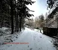 Снимка 5 — Парцел в Благоевград, Разлог