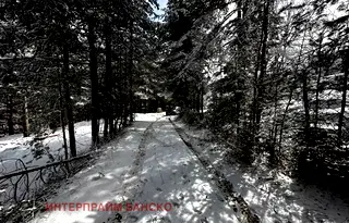 Парцел в Благоевград, Разлог