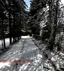 Парцел в Благоевград, Разлог