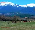 Снимка 4 — Парцел в Благоевград, Разлог