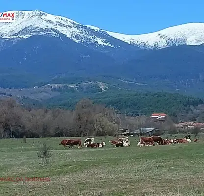 Photo 4 — Plot in Oblast Blagoevgrad, Razlog