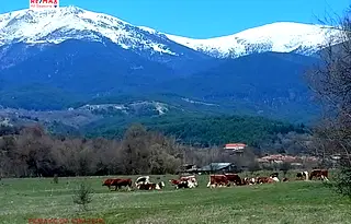 Парцел в Благоевград, Разлог