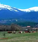 Парцел в Благоевград, Разлог