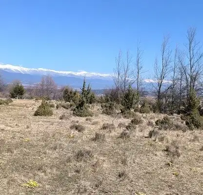 Photo 4 — Plot in Oblast Blagoevgrad, Razlog