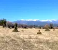 Снимка 5 — Парцел в Благоевград, Разлог