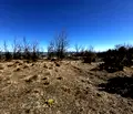 Снимка 3 — Парцел в Благоевград, Разлог