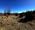 Снимка 4 — Парцел в Благоевград, Разлог