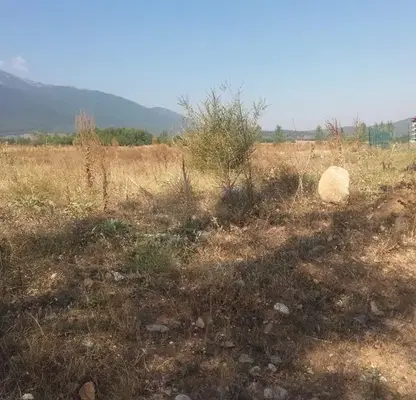 Photo 2 — Plot in Oblast Blagoevgrad, Razlog