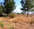 Снимка 3 — Парцел в Благоевград, Разлог