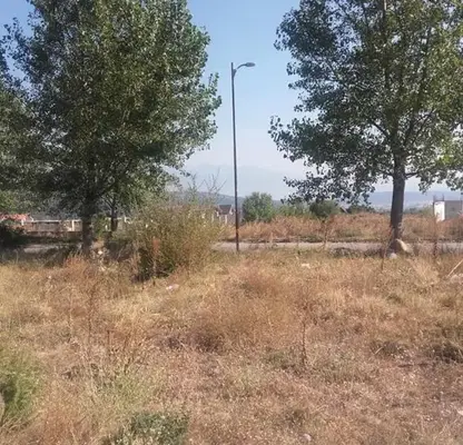 Photo 3 — Plot in Oblast Blagoevgrad, Razlog