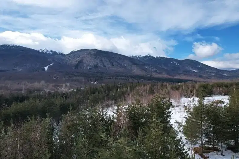 Парцел в Благоевград, Разлог