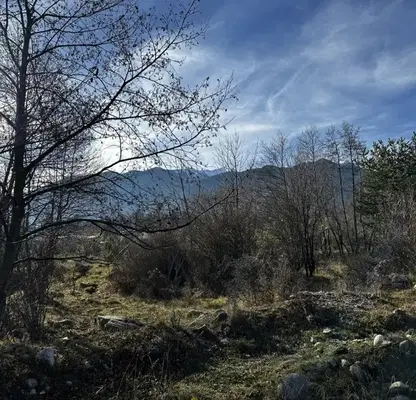 Photo 5 — Plot in Oblast Blagoevgrad, Razlog