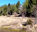 Снимка 2 — Парцел в Благоевград, Разлог