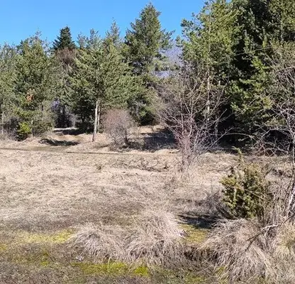 Снимка 2 — Парцел в Благоевград, Разлог
