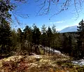 Снимка 4 — Парцел в Благоевград, Разлог