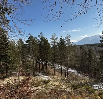 Photo 4 — Plot in Oblast Blagoevgrad, Razlog