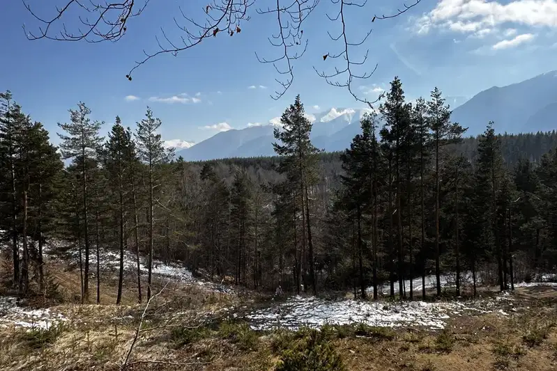 Парцел в Благоевград, Разлог