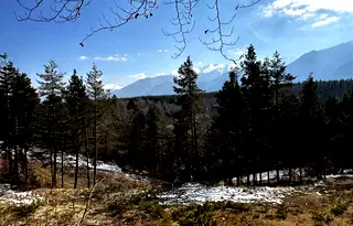 Парцел в Благоевград, Разлог