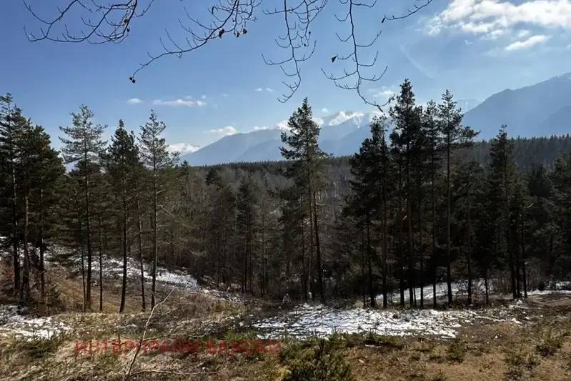 Plot in Blagoevgrad, Razlog