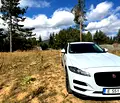 Снимка 2 — Парцел в Благоевград, Разлог