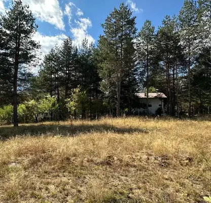 Photo 3 — Plot in Oblast Blagoevgrad, Razlog