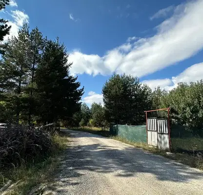 Photo 5 — Plot in Oblast Blagoevgrad, Razlog