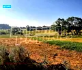 Снимка 4 — Парцел в Благоевград, Разлог
