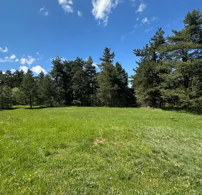 Photo 2 — Plot in Oblast Blagoevgrad, Razlog