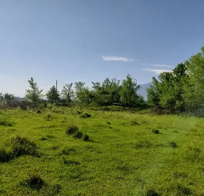 Photo 3 — Plot in Oblast Blagoevgrad, Razlog