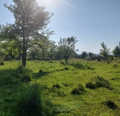 Photo 4 — Plot in Oblast Blagoevgrad, Razlog