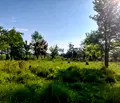 Снимка 5 — Парцел в Благоевград, Разлог