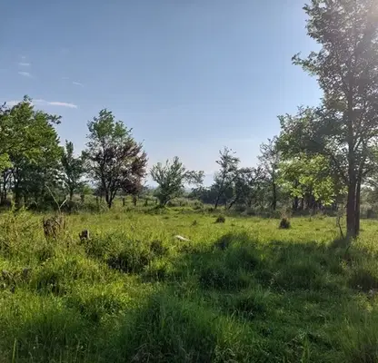 Photo 5 — Plot in Oblast Blagoevgrad, Razlog