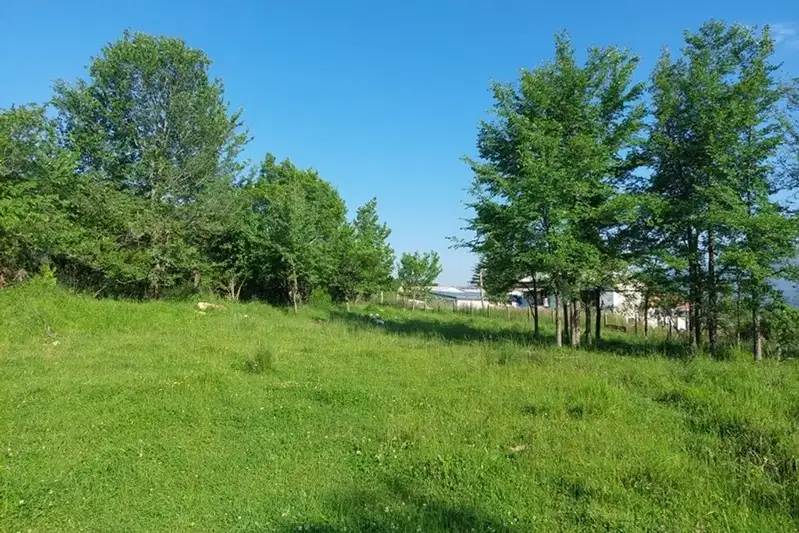 Парцел в Благоевград, Разлог