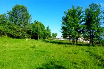 Парцел в Благоевград, Разлог
